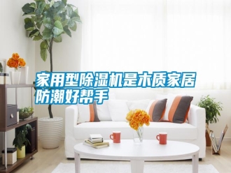 知识百科家用型除湿机是木质家居防潮好帮手